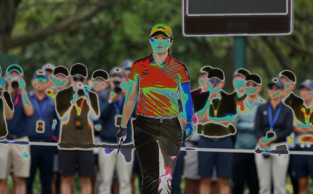 Bóng đập chim giả: Vì sao luật golf không có đáp án giống nhau ở mọi sân